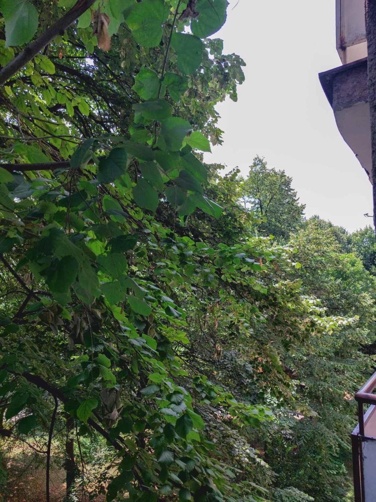 Apartman Rejna Sarajevo Bagian luar foto