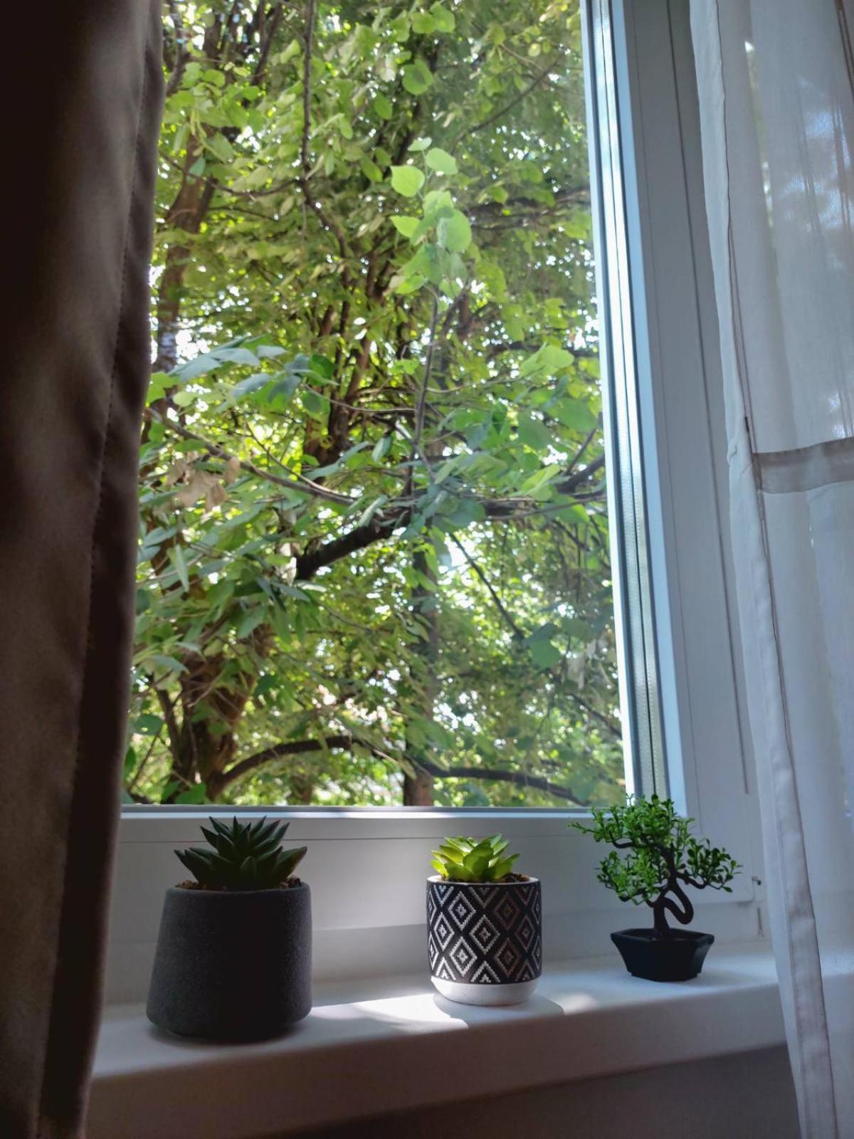 Apartman Rejna Sarajevo Bagian luar foto