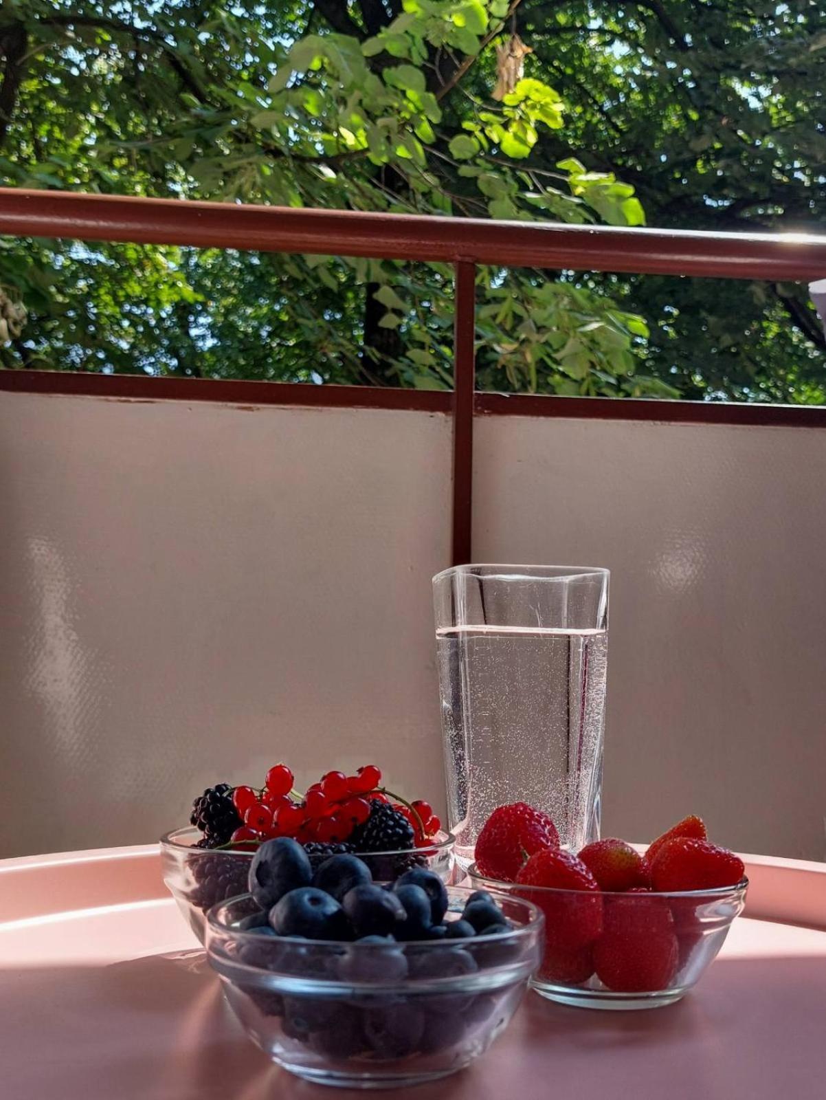 Apartman Rejna Sarajevo Bagian luar foto